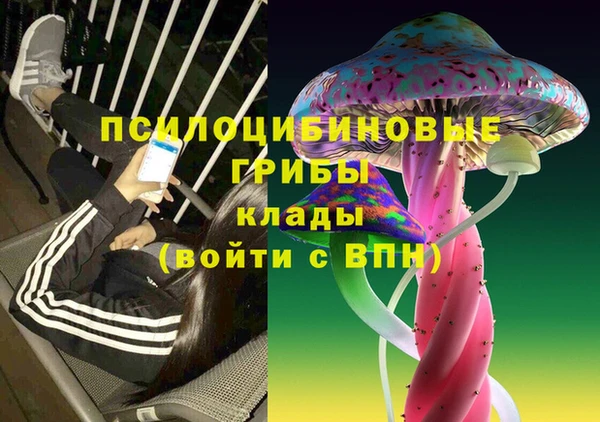а пвп мука Алзамай