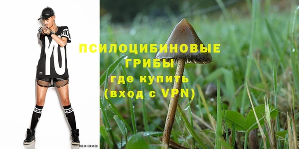 а пвп мука Алзамай