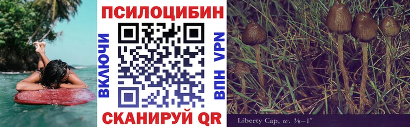 Псилоцибиновые грибы Magic Shrooms  Петровск 