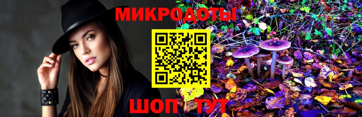 Петровск  Псилоцибиновые грибы Magic Shrooms  дарнет шоп  Вход с VPN 